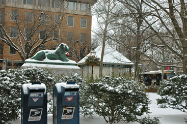 Winter in Palmer Square