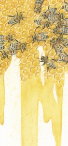 LIQUID GOLD: Observing a decline in honeybees prompted nature-loving artist Beatrice Bork to paint this 9.5 inch x 4.5 inch watercolor, simply titled “Bees.” The work was exhibited at the 51st Annual Art & the Animal Tour in Michigan, Virginia and Florida. Ms. Bork will discuss her work on Thursday, May 16, at 7 p.m. in the Stone Mill at Prallsville Mill Complex, Route 29 just north of Stockton, New Jersey. For more information, visit: www.artsbridgeonline.com; or www.BeatriceBork.artspan.com.