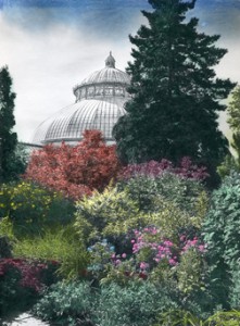 INTO THE GARDEN: Hopewell’s fine art photography gallery features works by Martha Weintraub, whose “Conservatory,” shown here, is one of several garden images on view. Ms. Weintraub creates hand-colored gel transfers from her photographs to yield whimsical and often surrealistic landscapes. (Image Courtesy of Gallery 14)