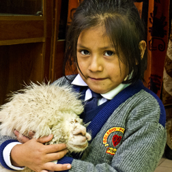 IMAGES OF PERU AND ECUADOR: Works of Peru and Ecuador by photographer Ed Greenblat, such as this schoolgirl with her pet alpaca, are currently on view at Gallery 14, 14 Mercer Street, Hopewell. The exhibition, which continues through November 10, also has a series of “Vintage Views of France” by Martin Schwartz, and images by Ken Kaplowitz from his “Searching for Tranquility” studies. Mr. Greenblat’s images include brightly colored and arresting subjects including a group of tortoises titled, “You Talking to Me?” Hours are Saturday and Sunday, from noon to 5 p.m. For more information, contact galleryfourteen@yahoo.com, or (609) 333-8511, or visit: www.photogallery14.com.