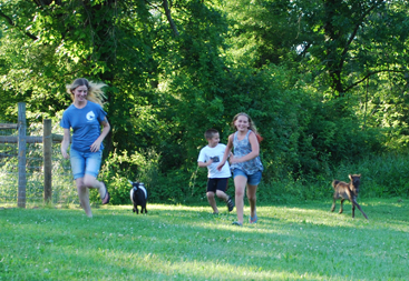 GAMBOLING WITH KOAL: Dawn Marie Fry and her stepchildren Rylie, 11, and Ronan, 8, frolic with their miniature horse named Koal and his companion Iggy, a young dwarf goat. Koal, who is no bigger than a greyhound, has become a favorite of horses and visitors to the Hasty Acres horse farm in Kingston, where he hangs out with Ms. Fry during the work week. Hand-reared after being rejected by his mother, Koal has become accustomed to human contact and it is hoped that he will eventually become a certified therapy animal. Ms. Fry helps run the therapeutic riding program Heads Up Special Riders at Hasty Acres. For more information on Heads Up Special Riders, at 121 Laurel Ave, Kingston, call (908) 809-9019, or visit: www.headsupspecialriders.com. For more on Hasty Acres, call (609) 921-8389, or visit: www.hastyacres.com.(Photo Courtesy of D. M. Fry)