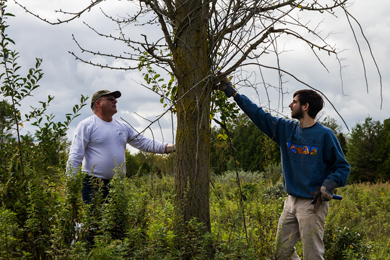 Mapleton Work Day