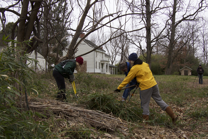 Battlefield Cleanup