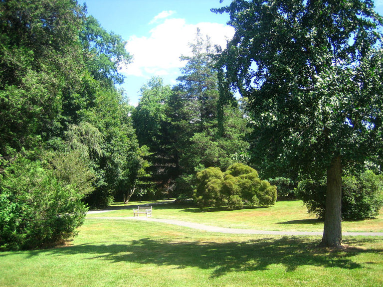 Children’s Arboretum Proposed By Marquand Park Foundation | Town Topics